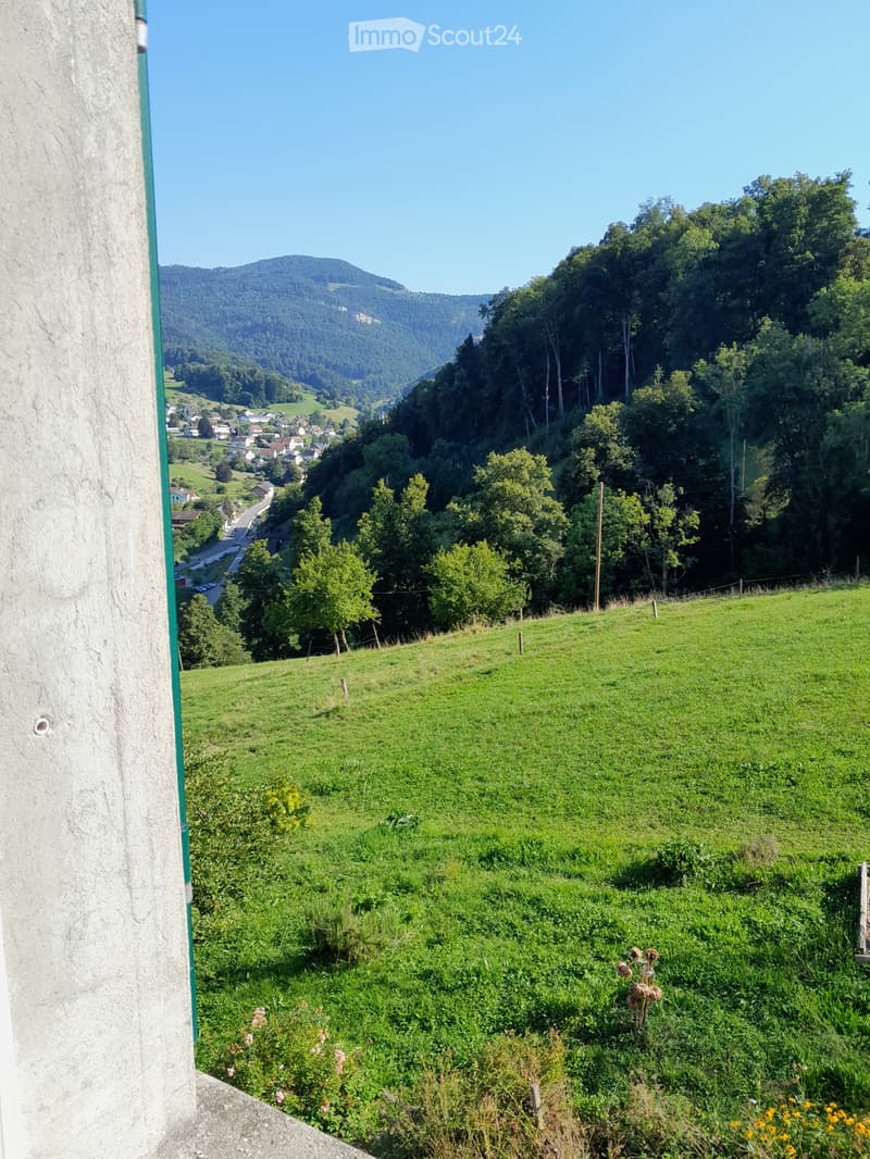 Appartement de 4,5 pièces dans les combles d'une ferme biologique (2)