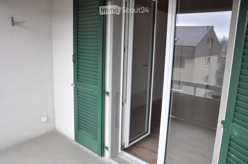 Casa unifamiliare a schiera ristrutturata (4)