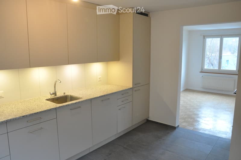 Casa unifamiliare a schiera ristrutturata (8)