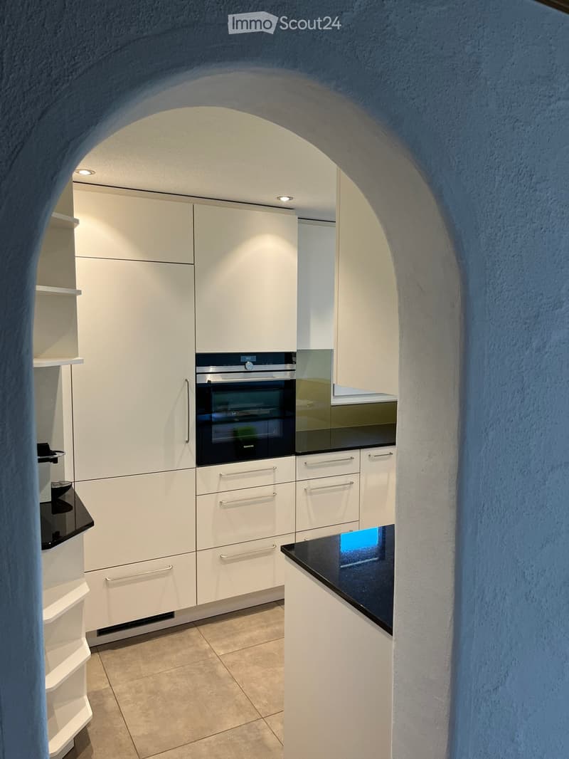 Freshly renovated 4.5-room apartment with 2 large terraces (5)