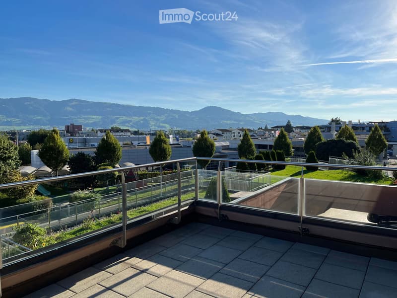 Freshly renovated 4.5-room apartment with 2 large terraces (4)