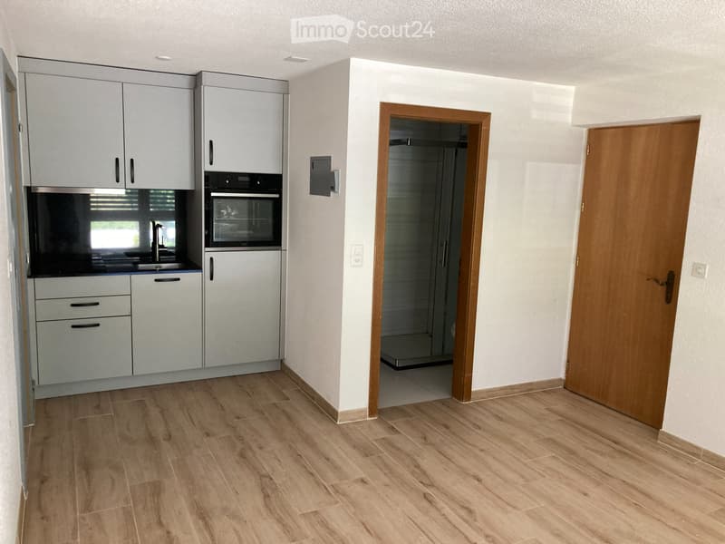 Studio à 3951 Agarn /VS à louer (3)