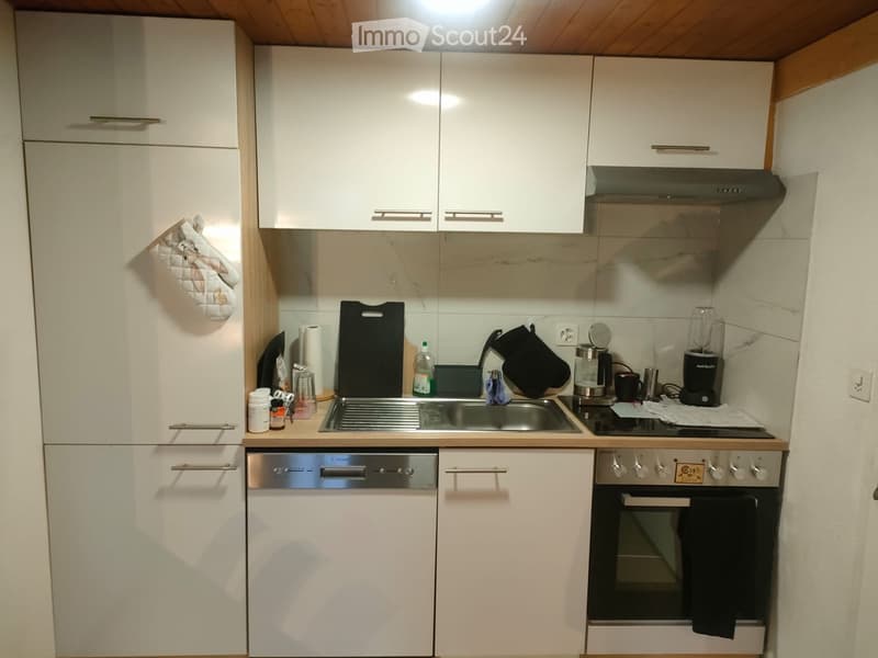 Appartamento 1,5 locali in affitto (4)