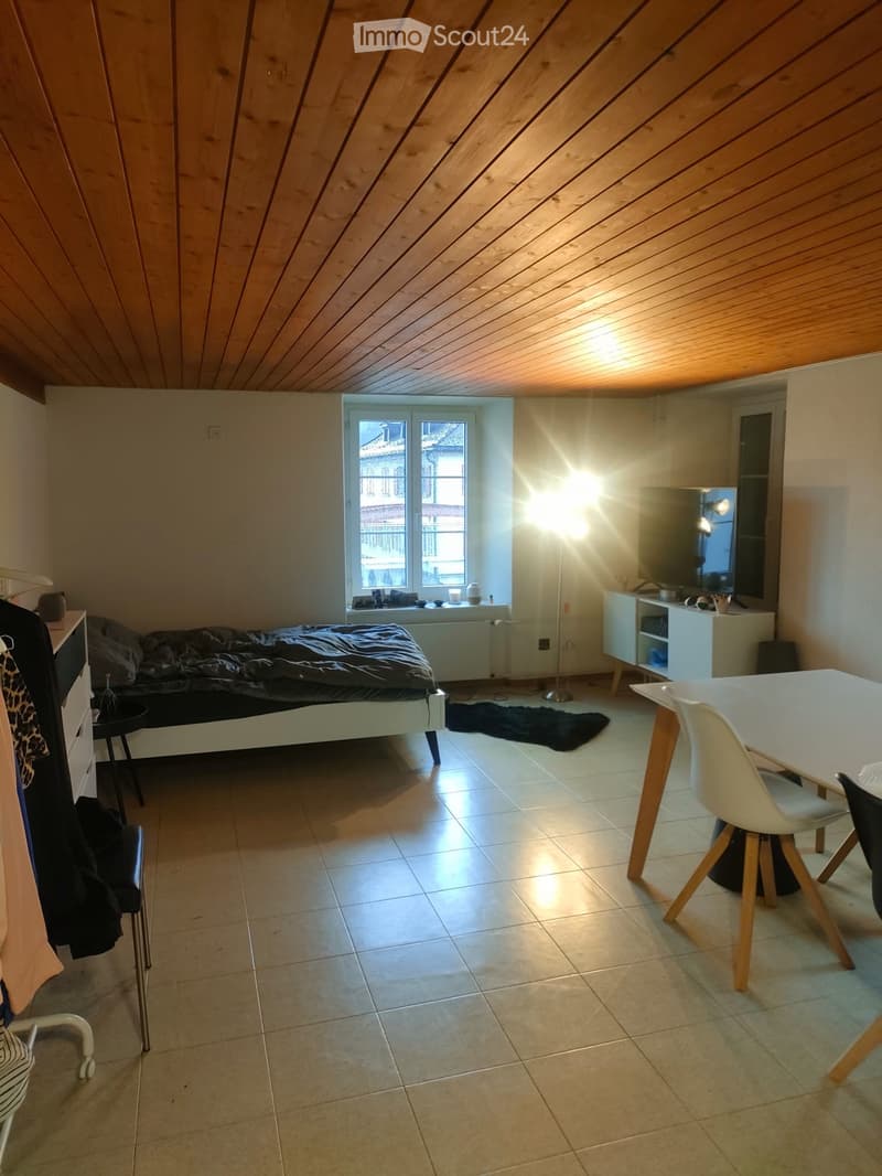 Appartamento 1,5 locali in affitto (2)