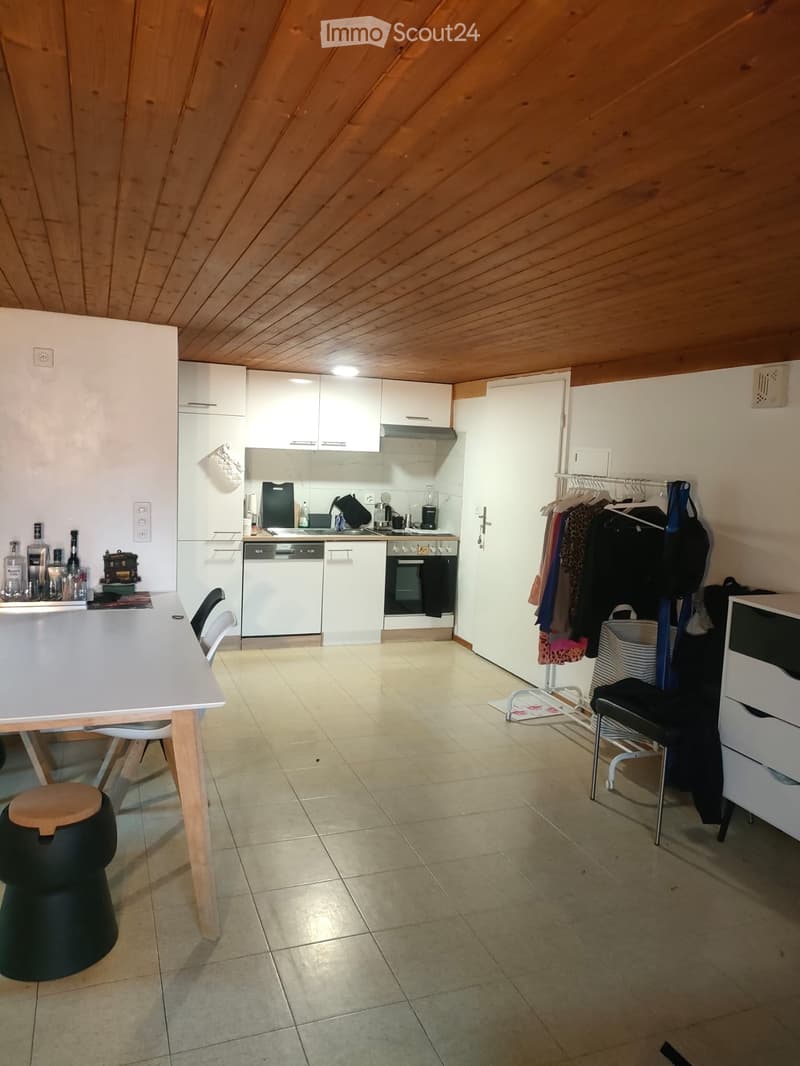 Appartamento 1,5 locali in affitto (5)