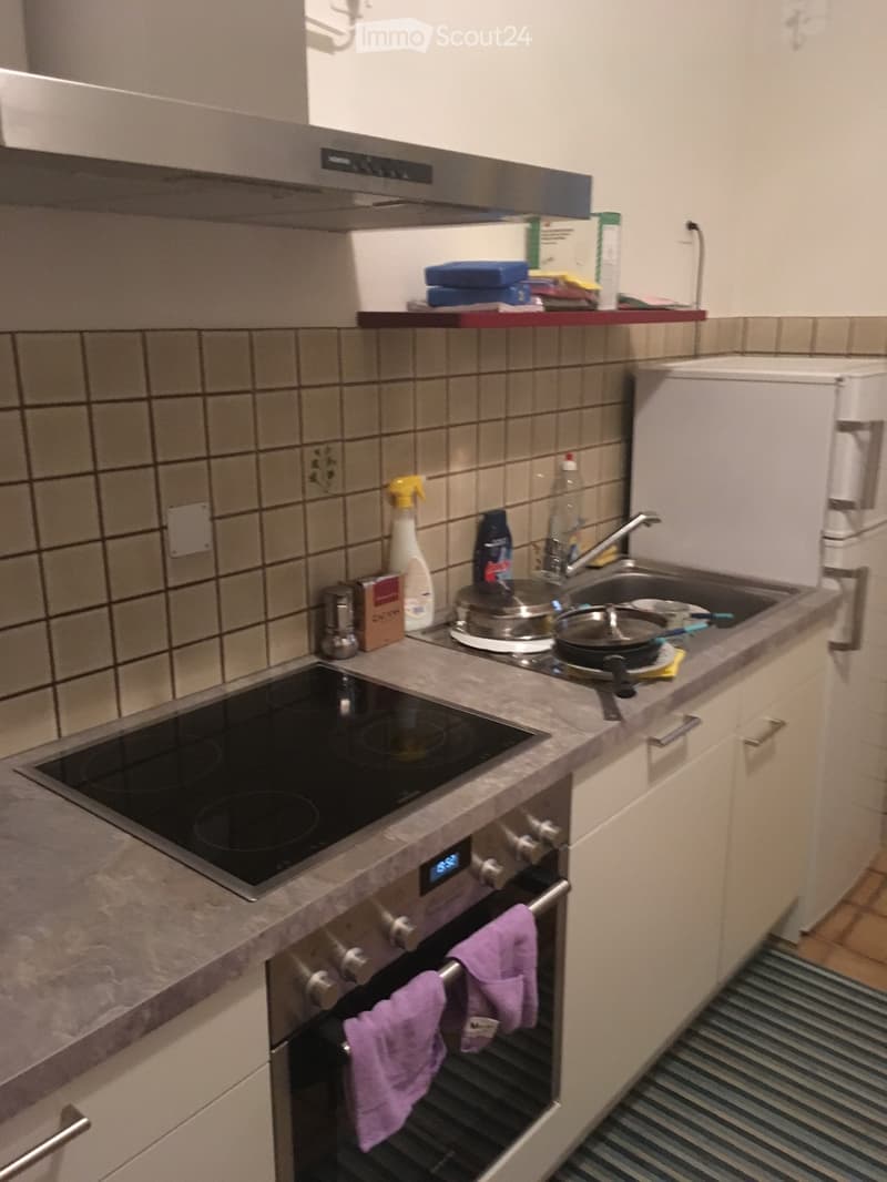 AFFITTASI STANZE MODERNE IN CENTRO A BELLINZONA (3)