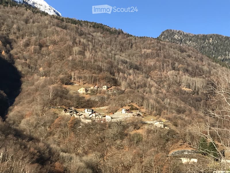Haus im Bergtal Calanca (5)