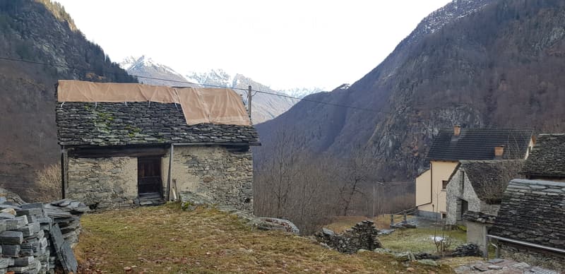 Cerentino - Rustico da riattare (2)