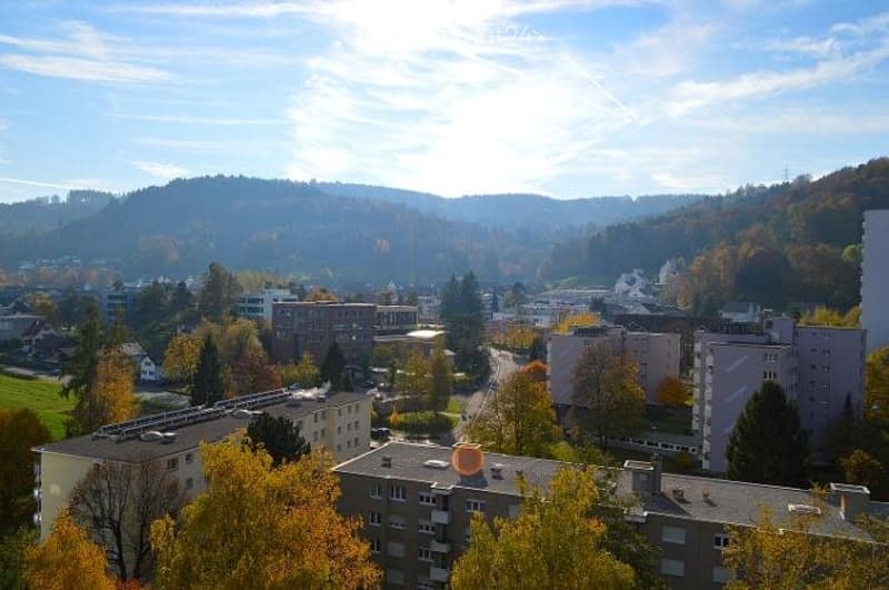Möblierte Zimmer nähe Zürich in Spreitenbach (3)