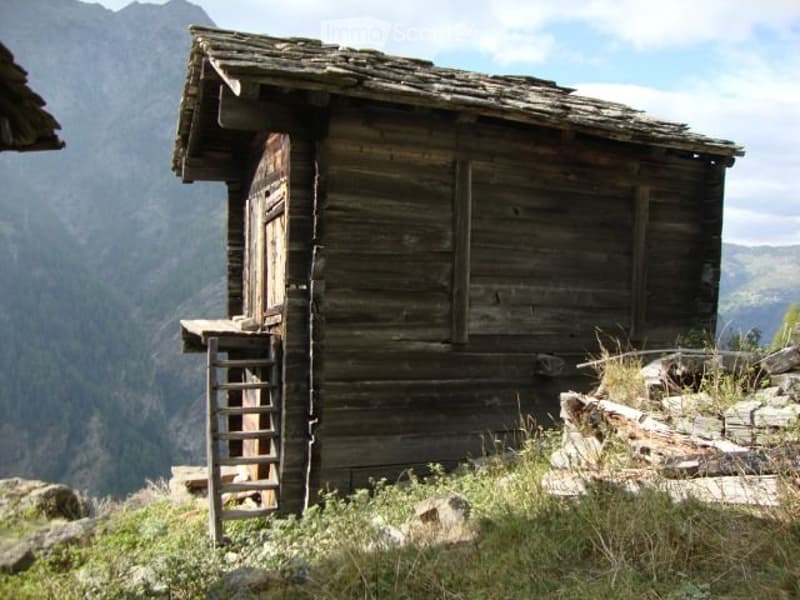 Barn with Shed (3)