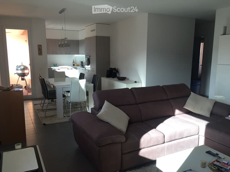 Appartement 3.5 à vendre à Pedrinate (2)