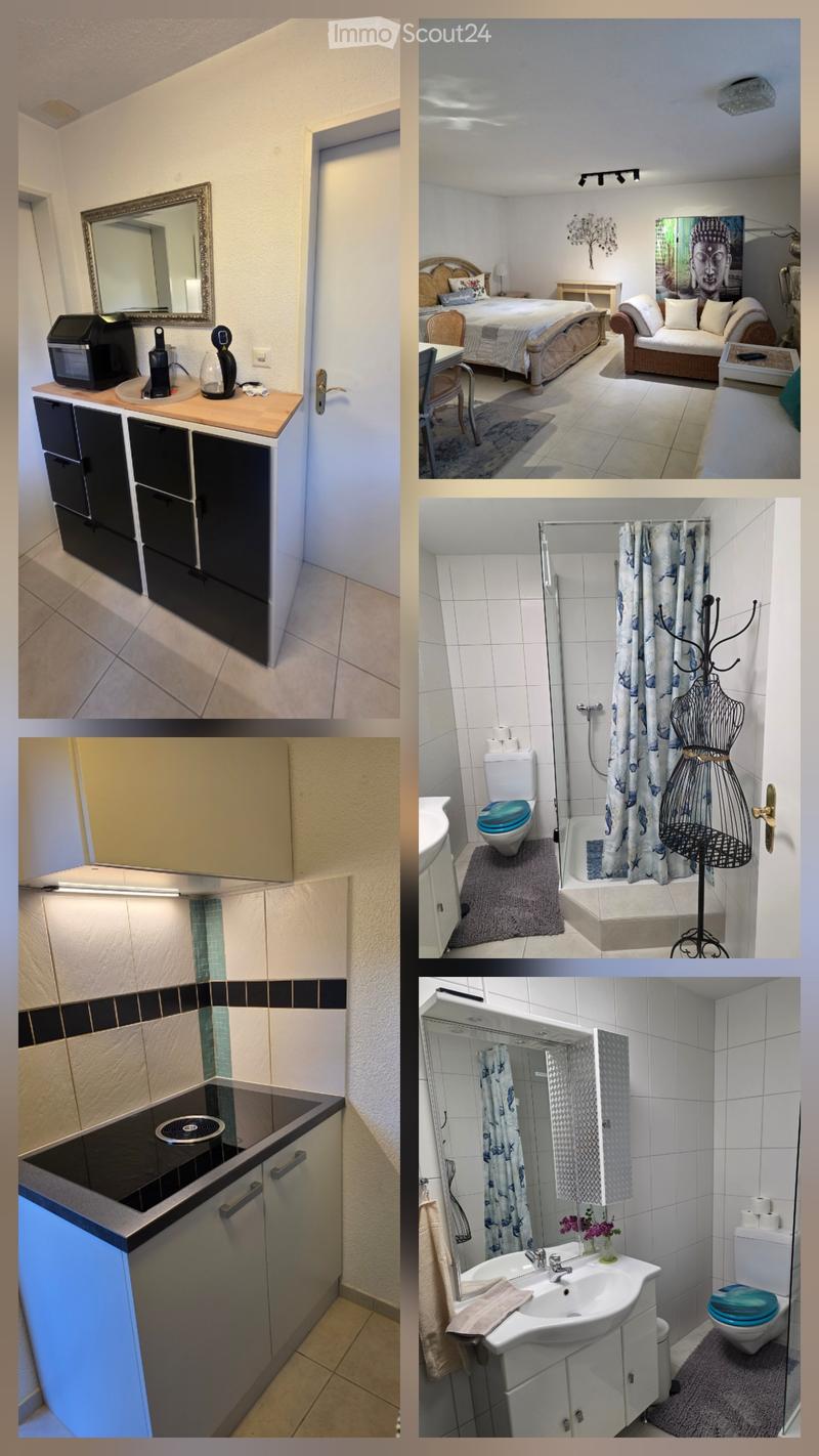 1 pièce appartement meublé 35m2 (3)