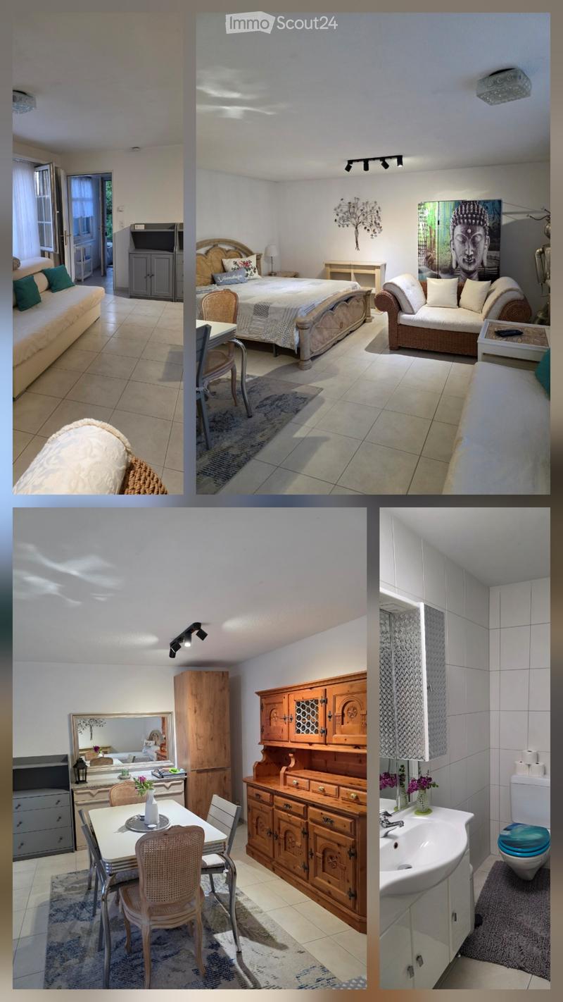 1 pièce appartement meublé 35m2 (2)