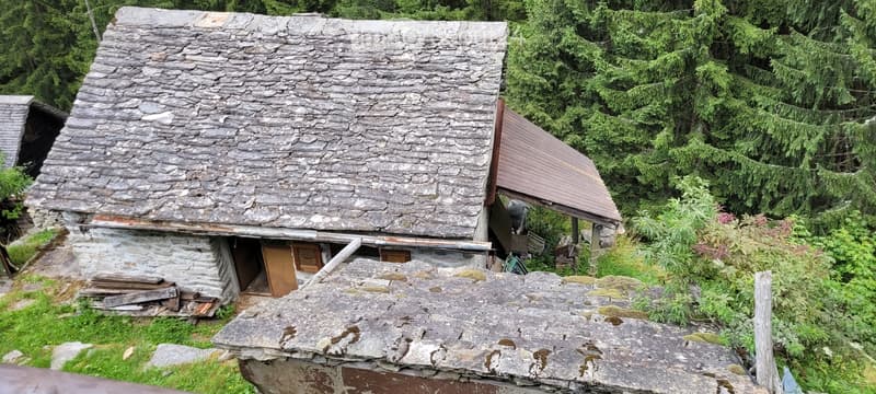 Rustico (3)