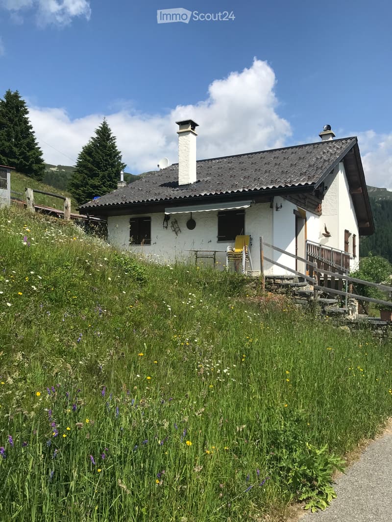 Vendo rustico (2)