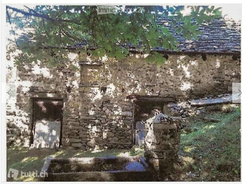 Rustico (stalla) da riattare con prato e bosco (6538mq) (3)