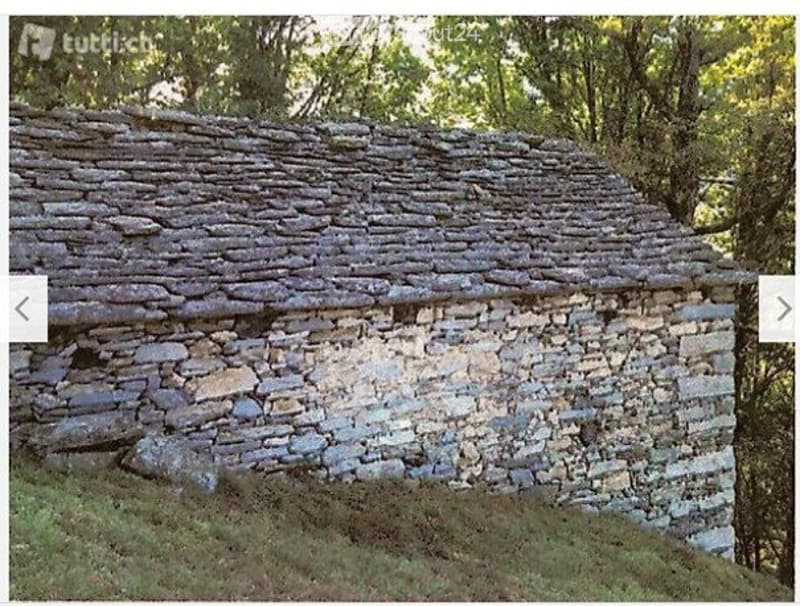Rustico (stalla) da riattare con prato e bosco (6538mq) (4)