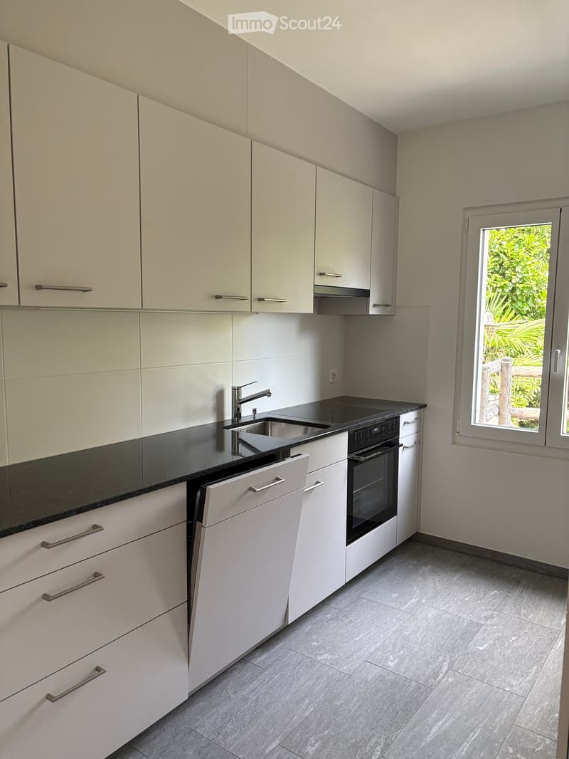 Appartement rénové avec vue sur la vallée (5)