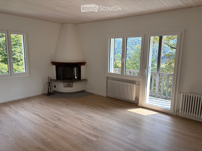 Appartement rénové avec vue sur la vallée (4)