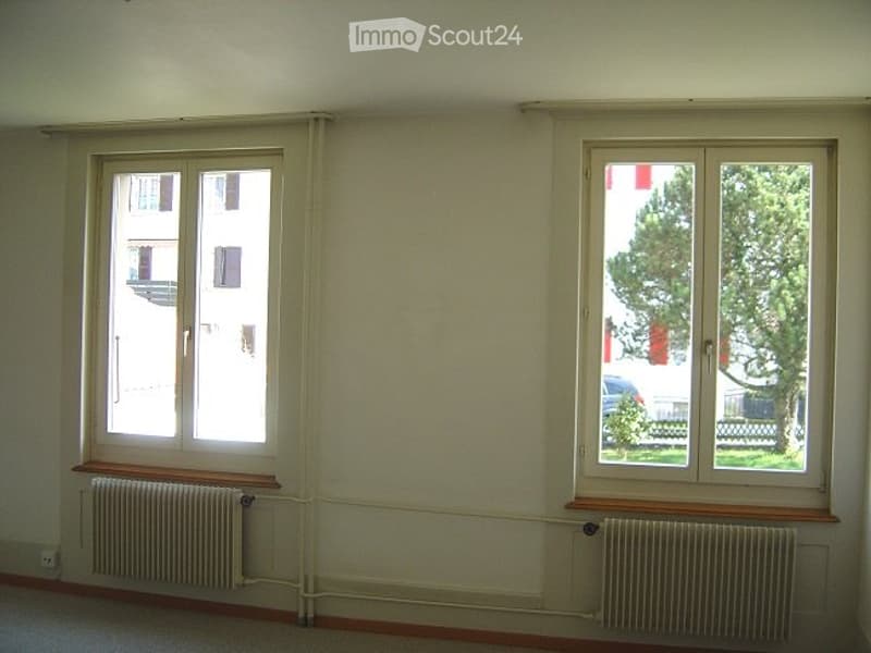 Appartamento di 3 camere in affitto (3)