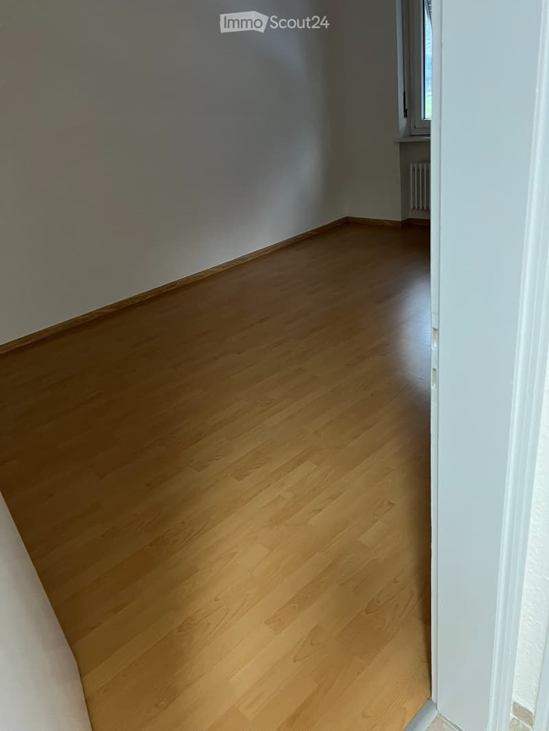 Luminoso appartamento 3.5 locali IRAGNA (4)