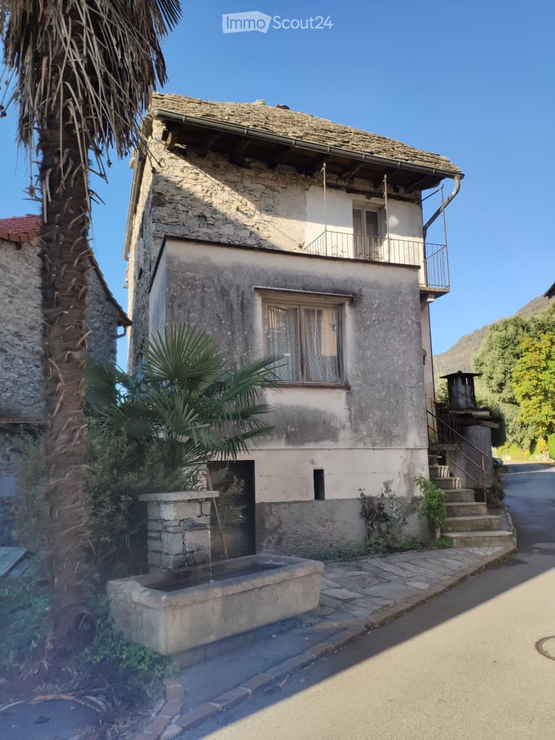 Sale of land with rural house to be renovated (3)