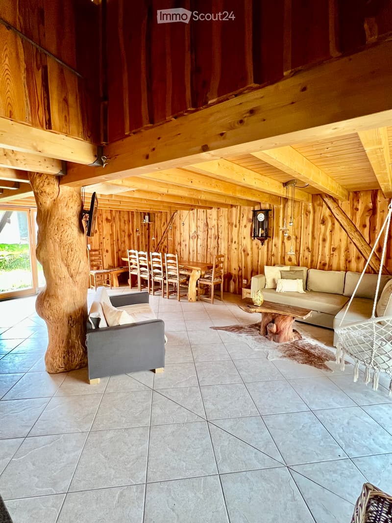 Casa di montagna Bietri (2)