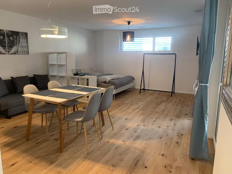 Furnished one-room apartment including utilities and internet (3)