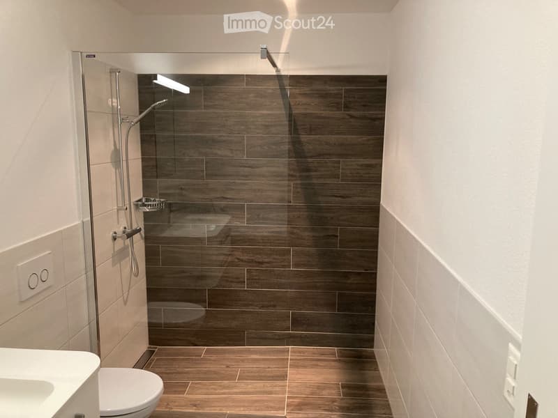 Appartement 3.5 pièces à louer (5)