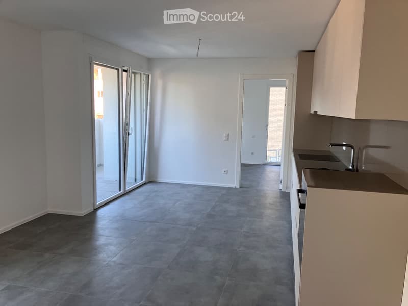 Two-and-a-half-room apartment in FIRST RENTAL (3)