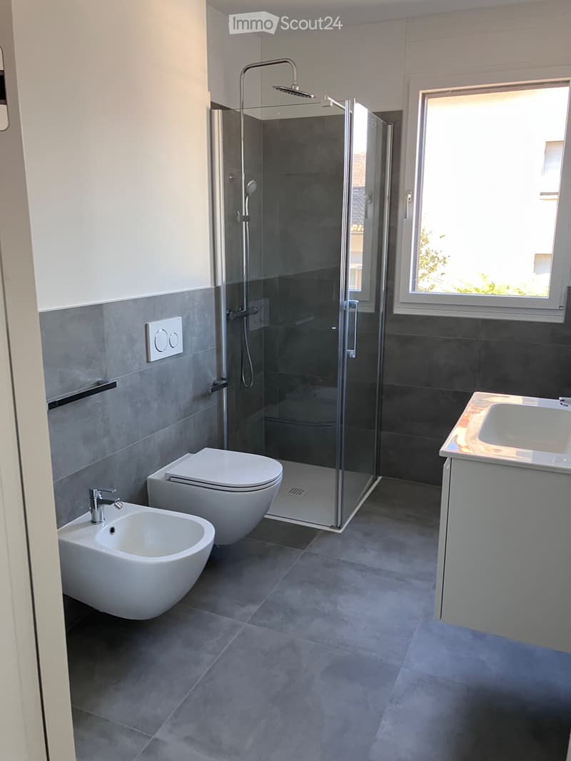 Two-and-a-half-room apartment in FIRST RENTAL (5)
