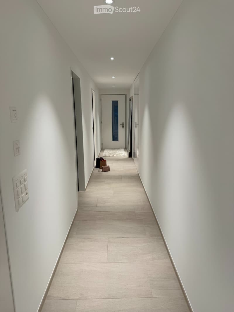 Appartement loft exclusif 2 ½ pièces en centre-ville (5)
