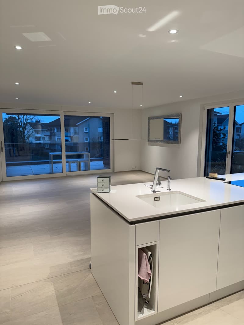 Appartement loft exclusif 2 ½ pièces en centre-ville (3)