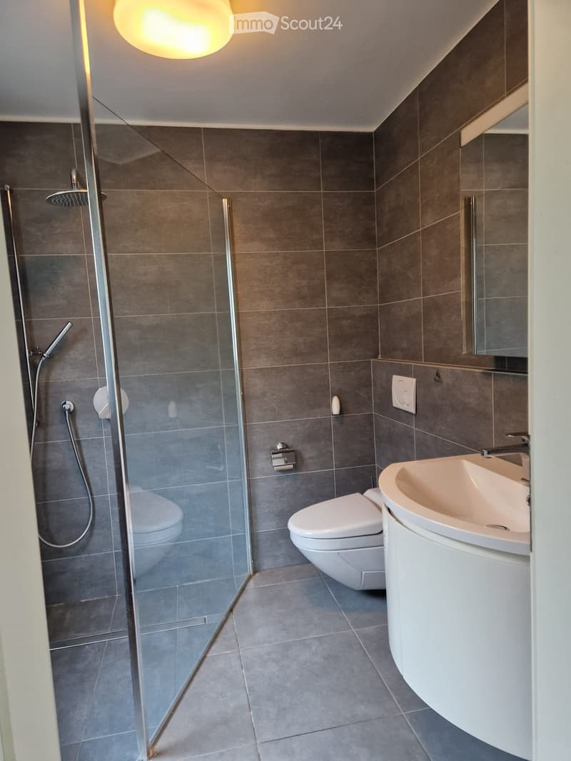 Gordola - 4.5 room apartment with garden (Minergie) (5)