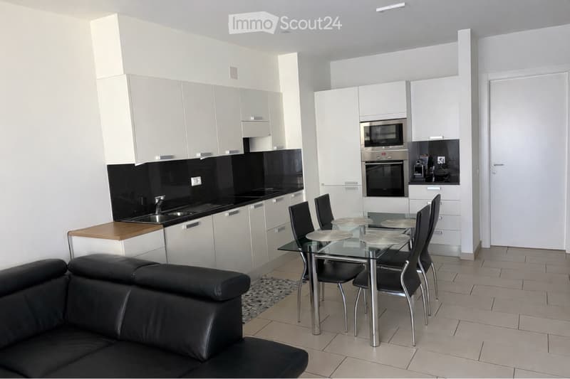 Beautiful 3.5-room apartment bright - Viganello (3)