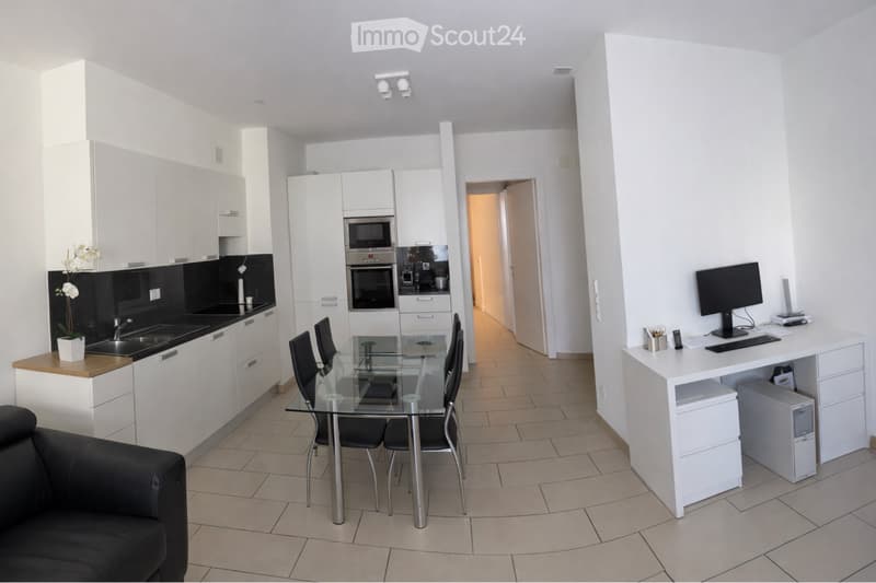 Beautiful 3.5-room apartment bright - Viganello (2)