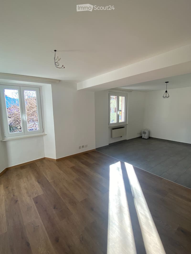 Affittiamo appartamento 3,5 locali - 1P casa bifamigliare (2)