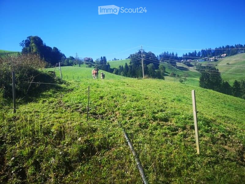 Liebhaberobjekt Emmental / Lauperswil (2)