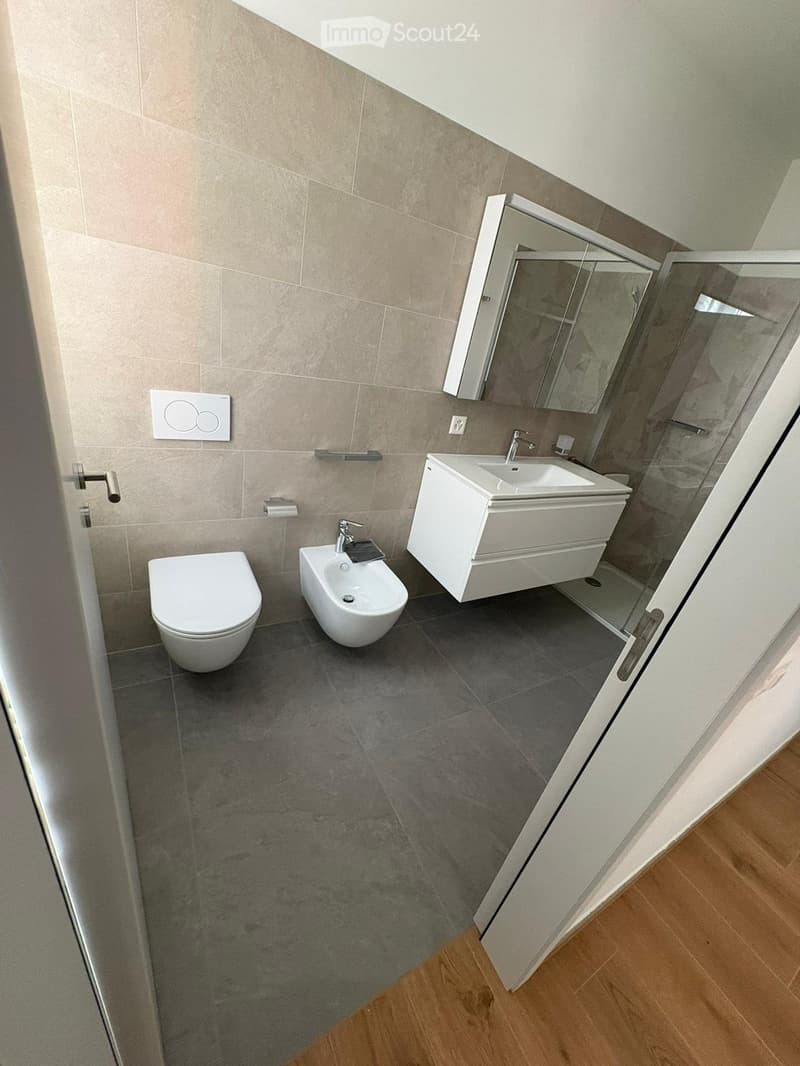 Renovated 3.5-room apartment with garden - Lugano (2)