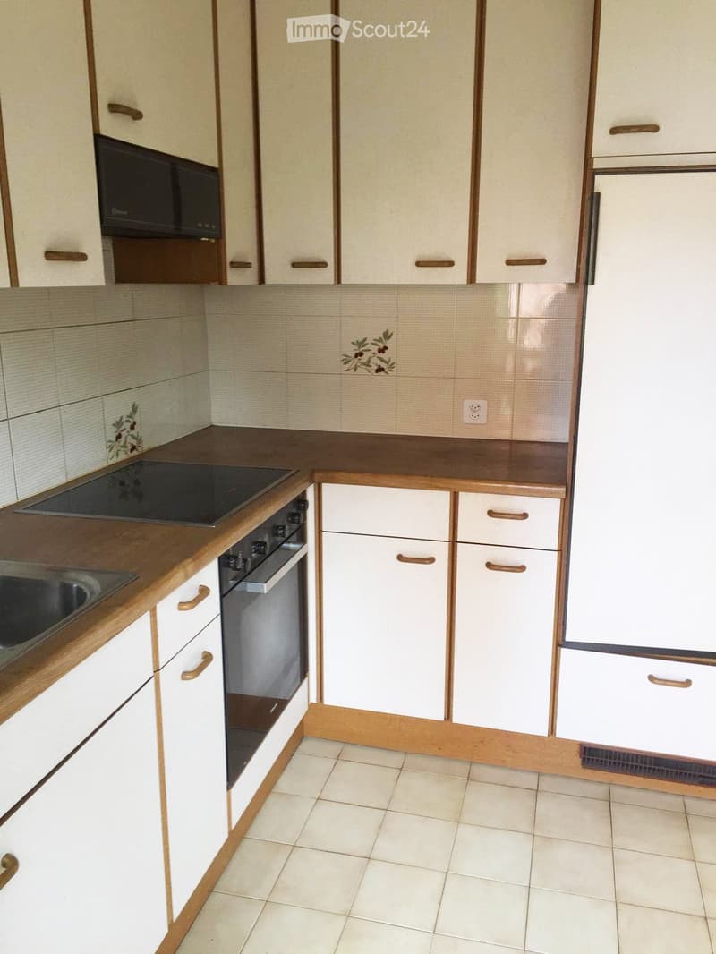 Spacious and bright apartment (3)
