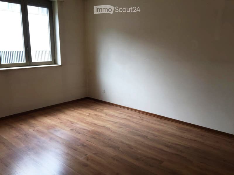 Spacious and bright apartment (2)