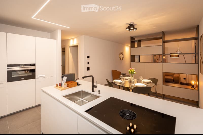 LUMINO (Bellinzona area) rents furnished apartments (4)
