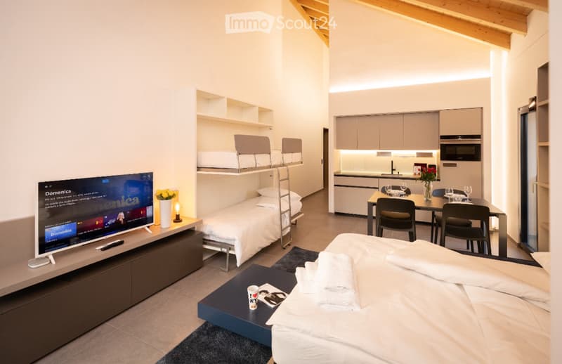 LUMINO (Bellinzona area) rents furnished apartments (2)