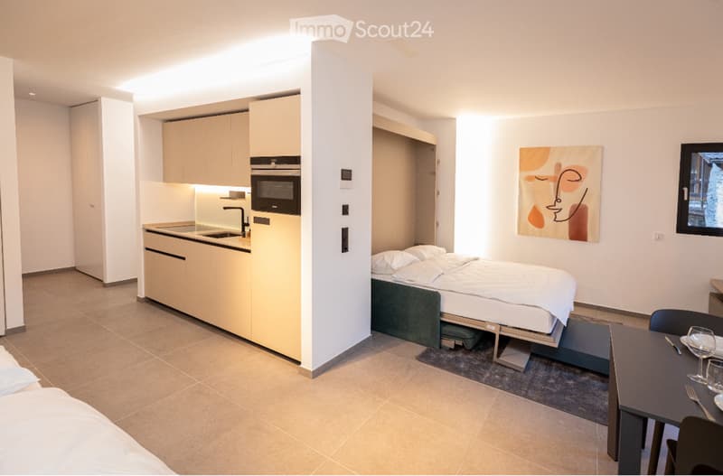 LUMINO (Bellinzona area) rents furnished apartments (5)