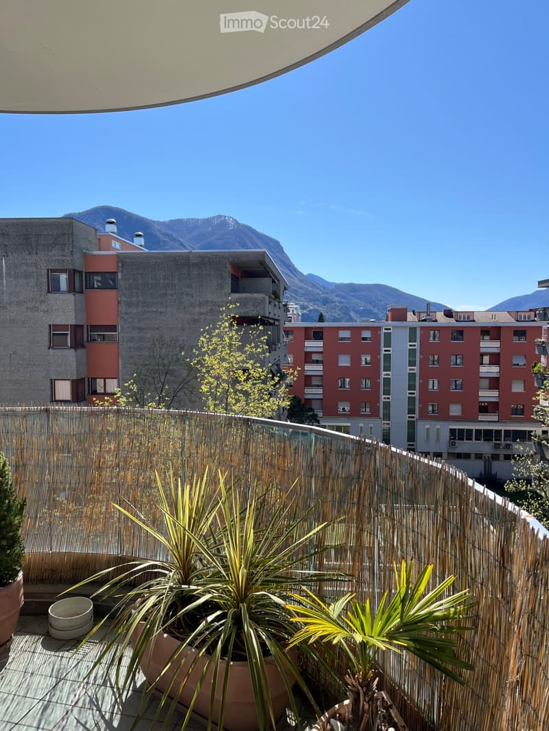Appartement 3.5 pièces, vue, grand balcon SE (3)