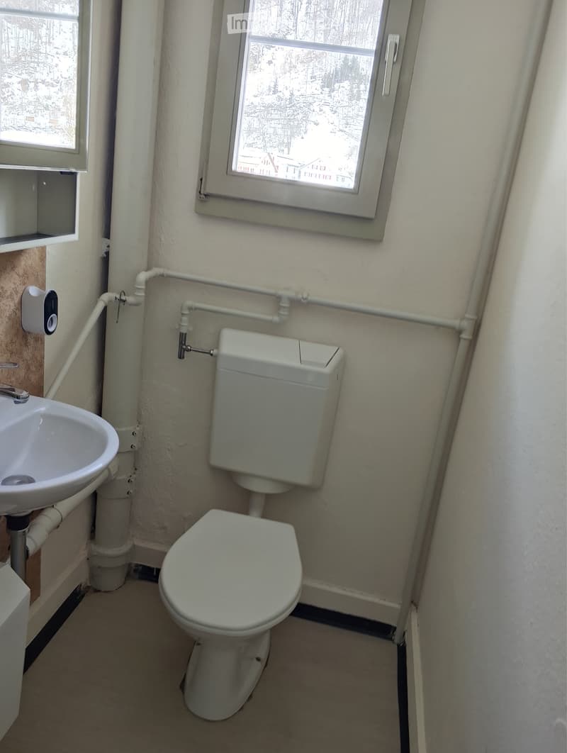 4 Pièces Appartement Ancien disponible immédiatement (5)