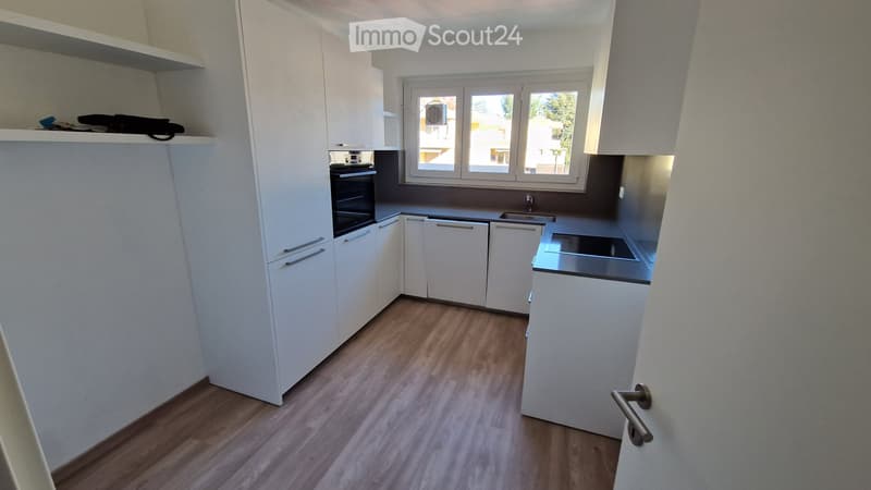 Beau 3.5 pièces à Melide (3)