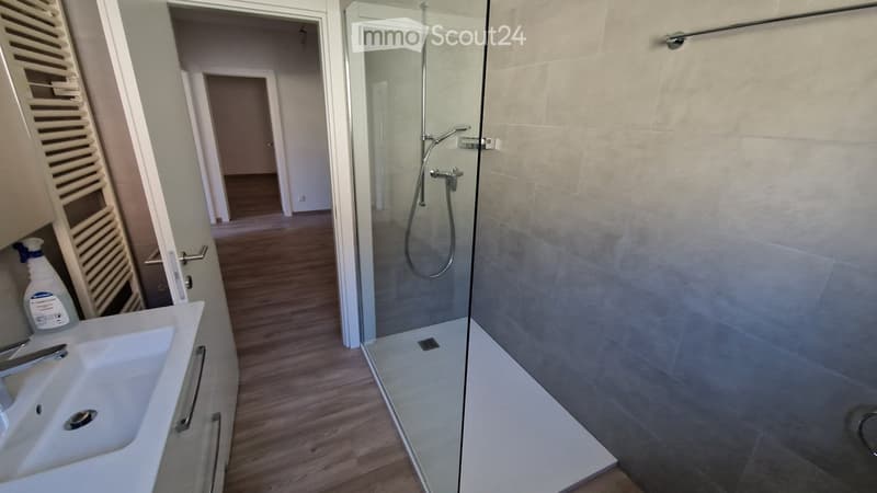Beau 3.5 pièces à Melide (5)