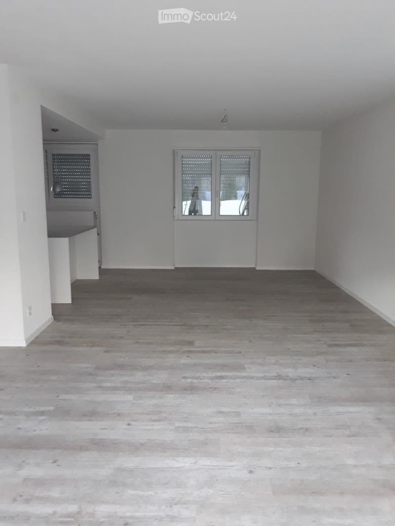 4.5-room apartment for rent for a fixed period (5)