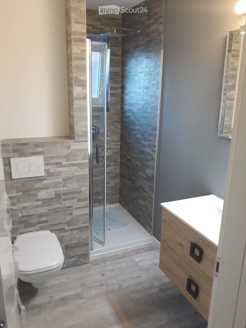 4.5-room apartment for rent for a fixed period (3)